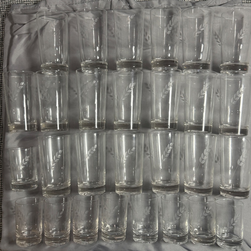 Vintage Libbey Wheat Gray Cut Glass Tumbler Set 28pc MCM Etched Clear Drinking